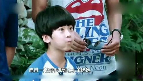 娱乐八卦每日爆料真人,明星真实现身幕后故事 第1张 娱乐八卦每日爆料真人,明星真实现身幕后故事 第1张